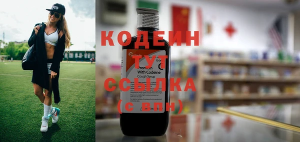 мет Медвежьегорск