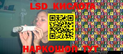 крисы Донской