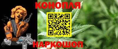крисы Донской