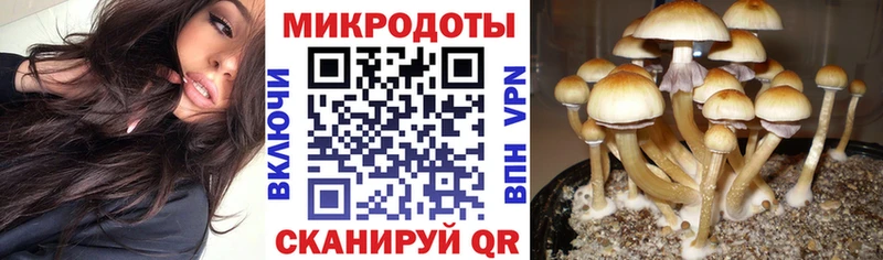 Галлюциногенные грибы прущие грибы  Заринск 