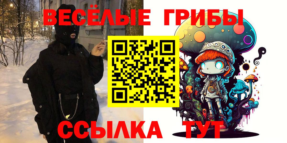 Псилоцибиновые грибы мицелий Заринск