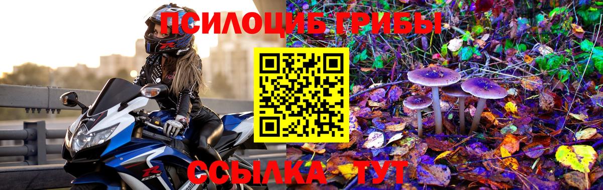 Галлюциногенные грибы мицелий  дарнет шоп  Заринск 