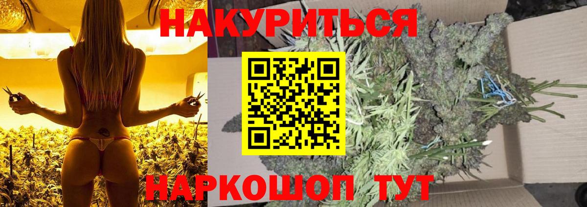 Бошки марихуана планчик  Заринск  Конопля план 