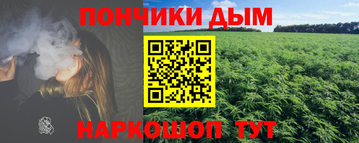 Бошки Шишки план  Вход с VPN  Шишки марихуана сатива  Конопля ГИДРОПОН  Каннабис тримм  Заринск 